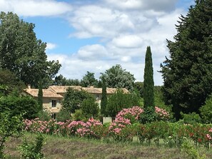 Property grounds - Maison Margerie - Mas provençal with swimming pool near Grignan (Colonzelle)