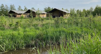 Luxury Glamping Near the Frisian Waters