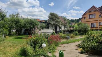 Een tuin met een pad, een wit bolvormig object en een groene gieter.