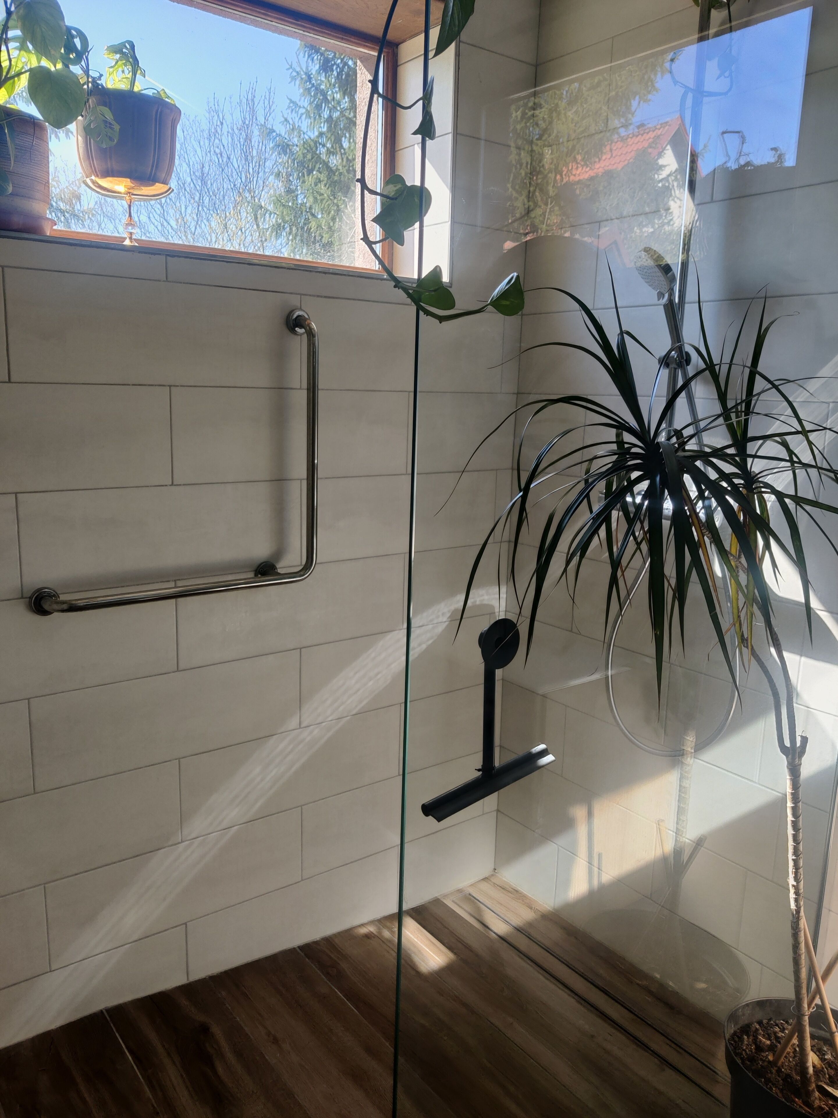 Un baño moderno con cabina de ducha de vidrio, suelo de madera y una planta en maceta.