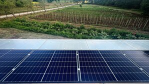 A solar panel array and a field with young plants, indicating a sustainable agricultural setup.