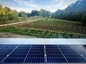 Àrea exterior de l'allotjament