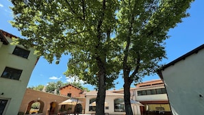 A courtyard with a large tree, brick archway, and a building with a tiled roof.