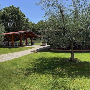 Terrace/patio - Oasis of relaxation nestled in the green Sabina just a stone's throw from Rome! (Osteria Nuova)