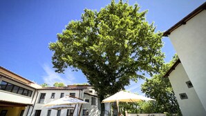 A courtyard with outdoor seating, a large tree, and buildings with white walls and tiled roofs.