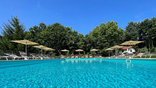 A clear swimming pool with lounge chairs and umbrellas, surrounded by trees.