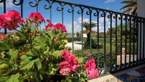 Ein Balkon mit schmiedeeisernem Geländer, üppigem Grün und leuchtend rosa Blüten.
