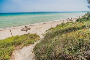 Ein Strand mit einem Reetdachschirm, einem sandigen Pfad und viel Grün.