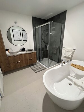 Shower, hair dryer, towels, soap - Monthly rentals only in the center of old Quebec City (Québec)