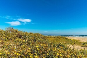 A coastal landscape with dense vegetation, a sandy beach, and the ocean in the distance. - "Blue Horizon" Incredible views! Resort Amenities (Galveston)