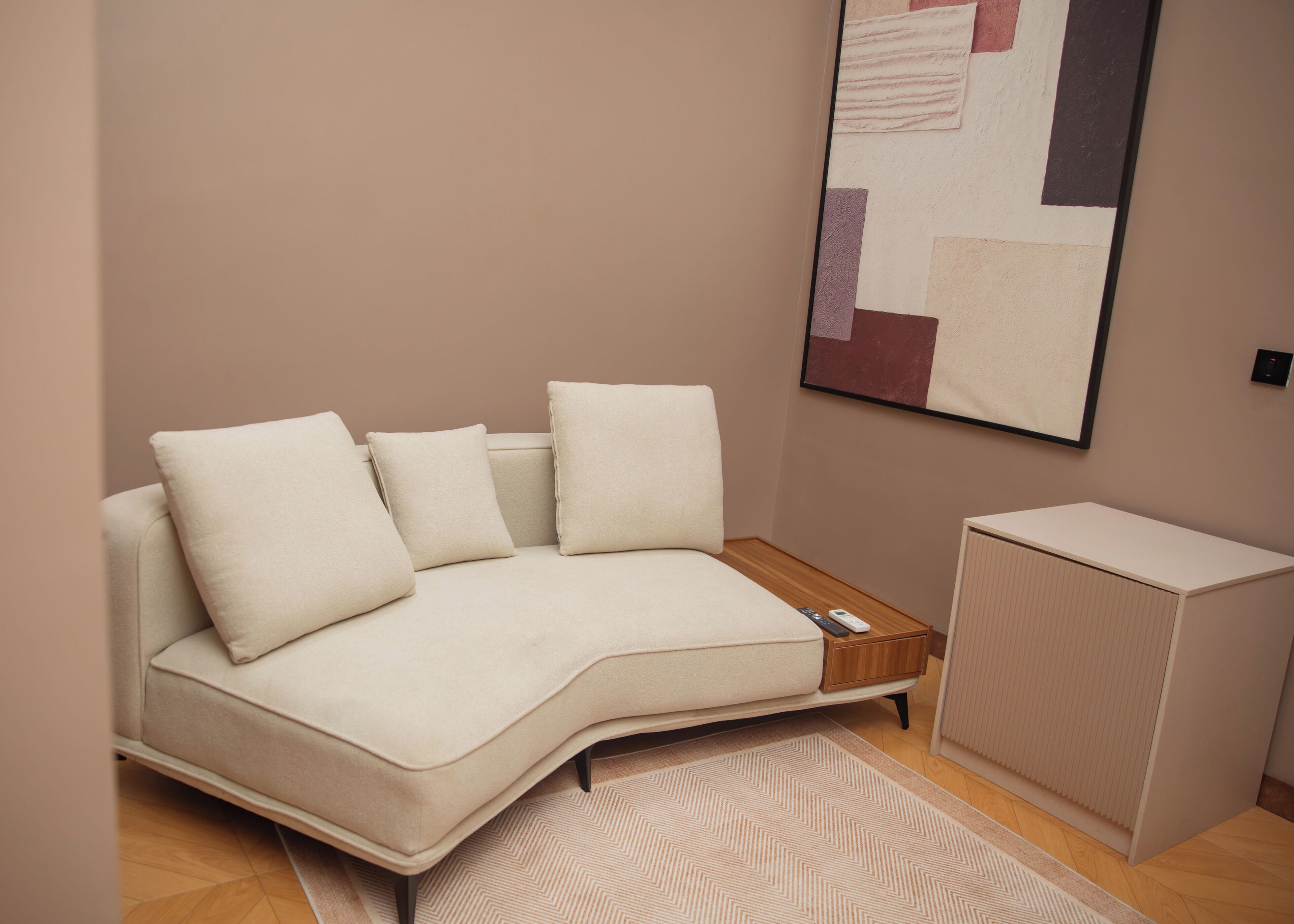 A modern living room with a sofa, a coffee table, a rug, and a radiator.