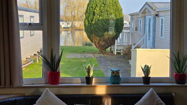 A window with a view of a lake, a tree, and a row of potted plants.