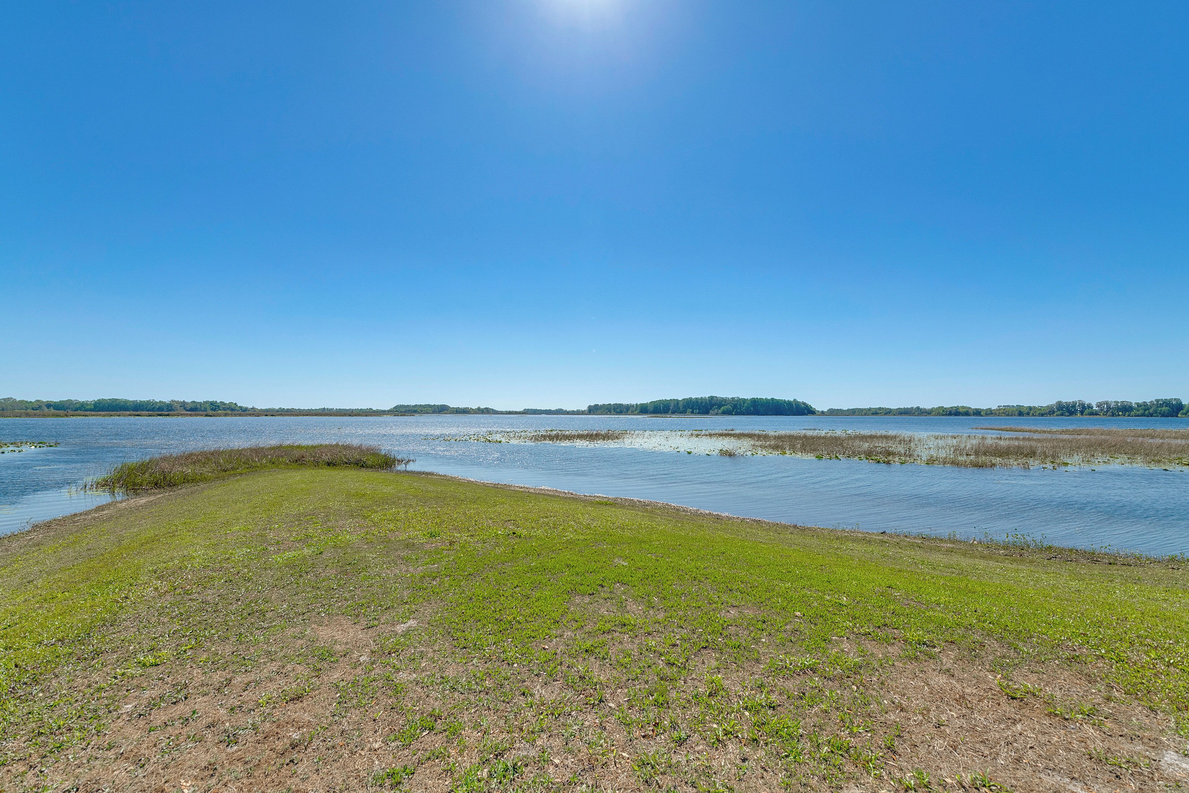 A clear view of a lake with a grassy shoreline and distant trees.