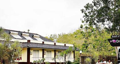 Collection O Gunung Kidul Near Baron Beach Formerly Orchid Hotel