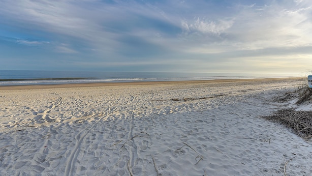 Une plage de sable avec des empreintes et une végétation clairsemée.