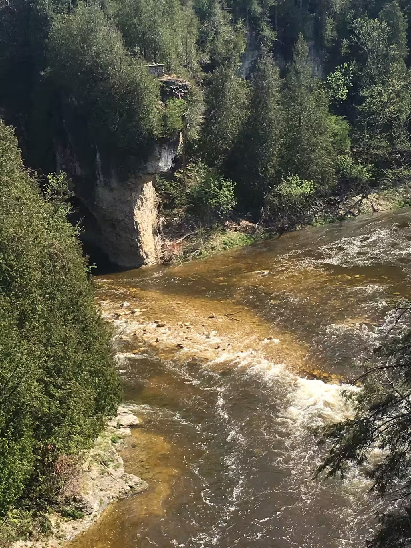A river flowing through a forested area with a rocky cliff.