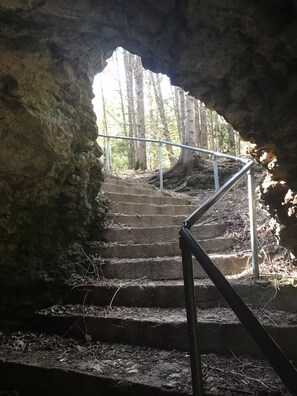 Property grounds - Devin's Dream (Elora)