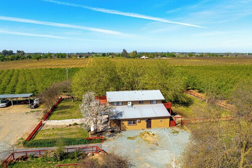 Wine Country Retreat in Galt w/ Vineyard Views