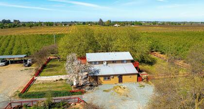 Wine Country Retreat in Galt w/ Vineyard Views