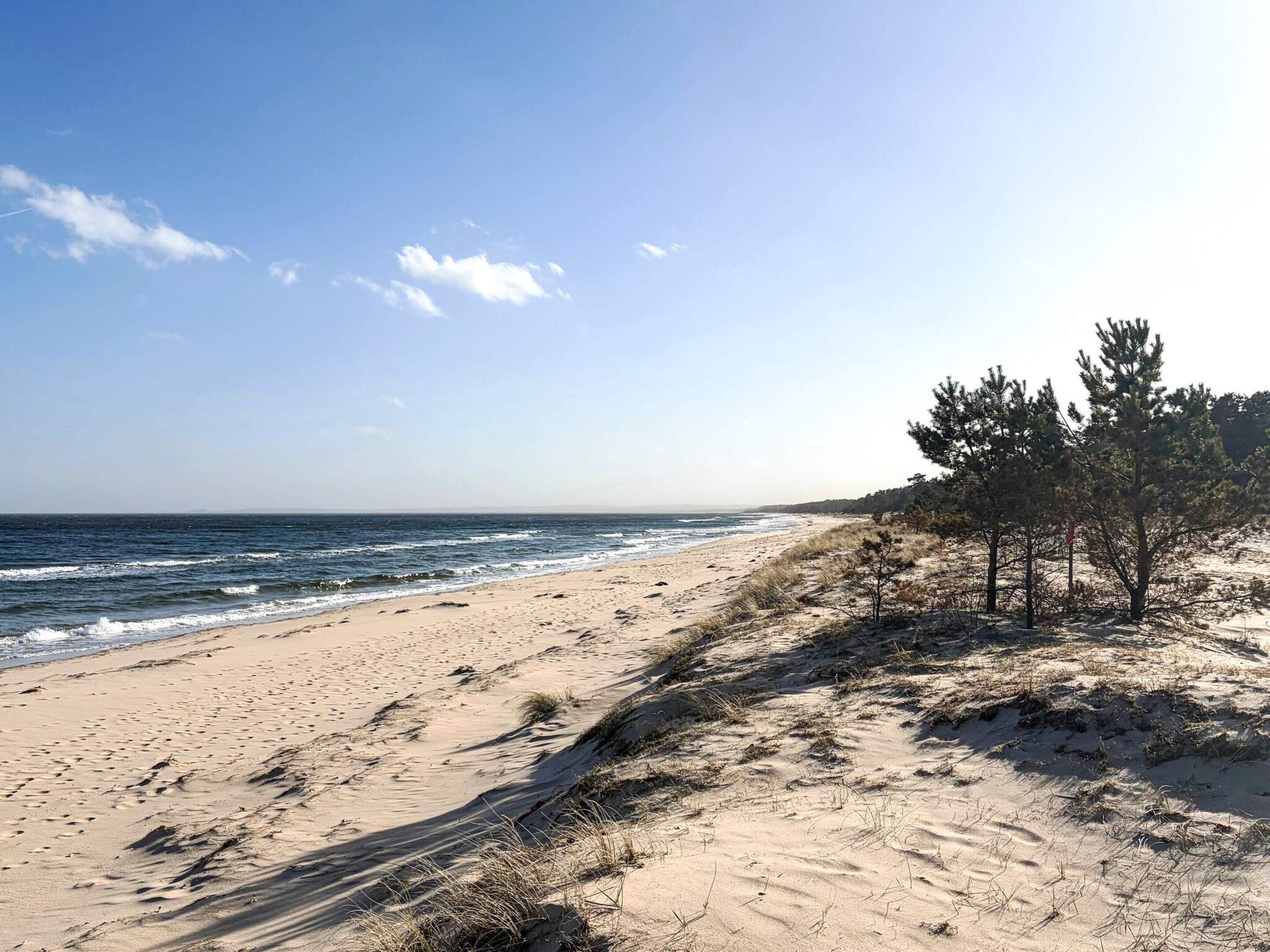 Una platja amb sorra, ones de l'oceà i vegetació escassa.