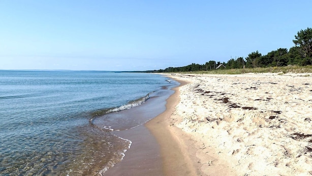 A beach with clear water, sandy shore, and a forested area in the background. - 4 Star Holiday Home in Yngsjo, Sverige (Yngsjo)