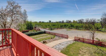 Wine Country Retreat in Galt w/ Vineyard Views