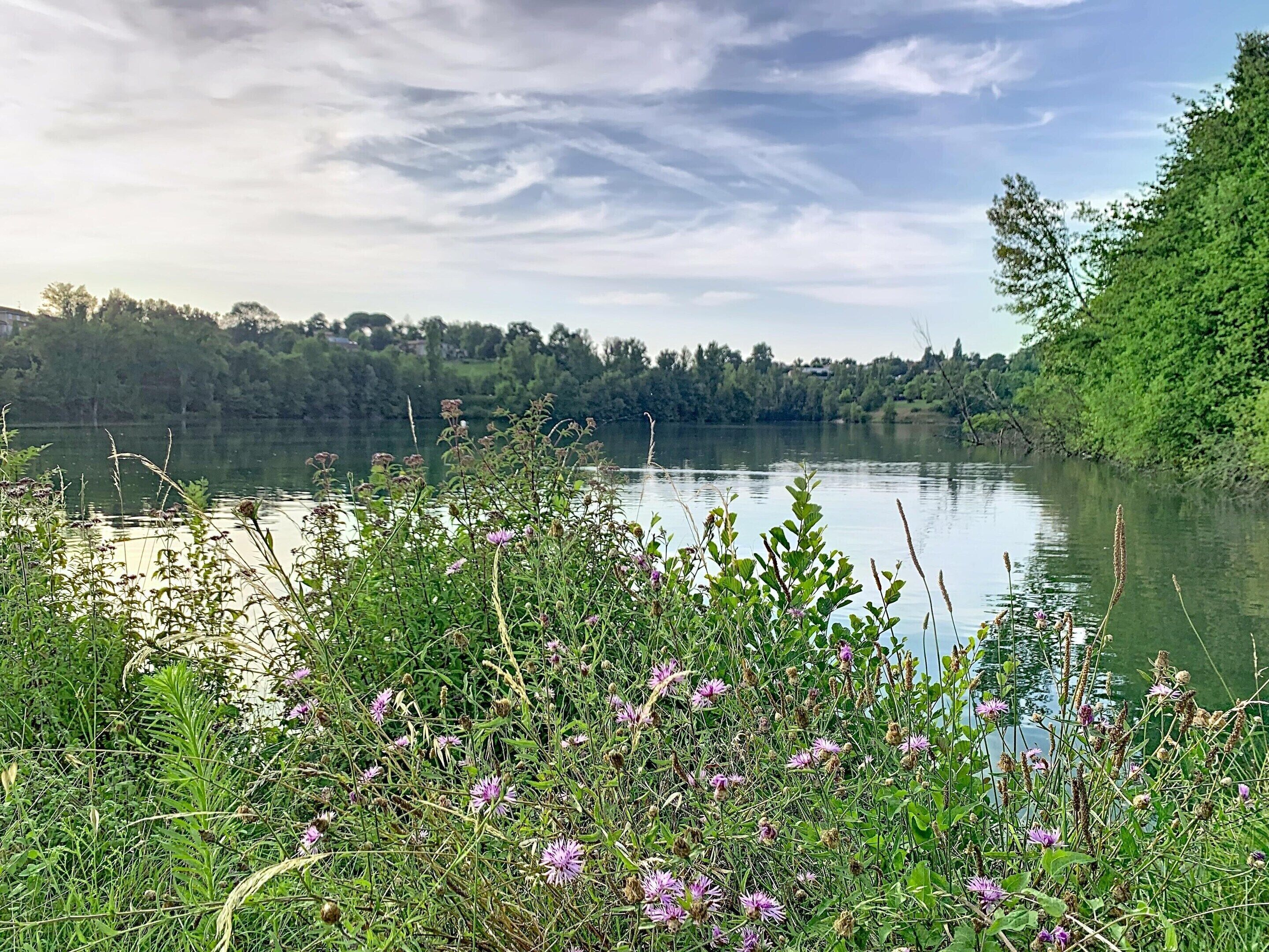 Järvi, jota ympäröi vehreä kasvillisuus, ja kirkas taivas.