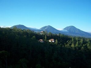 A forested area with a mountain in the background and a small building in the foreground.