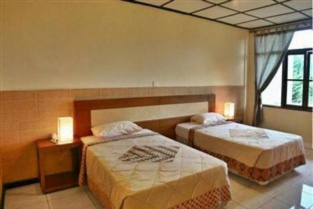 Habitación de hotel con dos camas individuales, cabecero de madera, lámparas de noche y una ventana con cortinas.