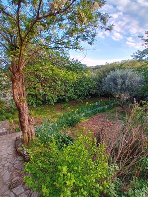 Property grounds - In the shade of the accacia tree (Nizas)