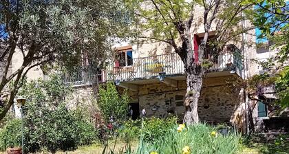 In the shade of the accacia tree