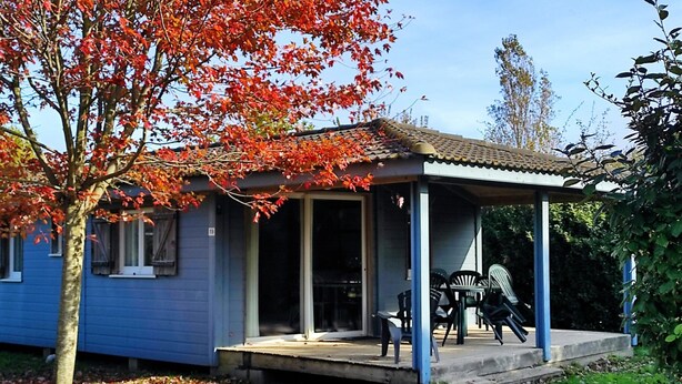 A single-story house with a porch, a small table and chairs, and a tree with red leaves. - Spacious Duplex Cottage in Saumur (Saumur)