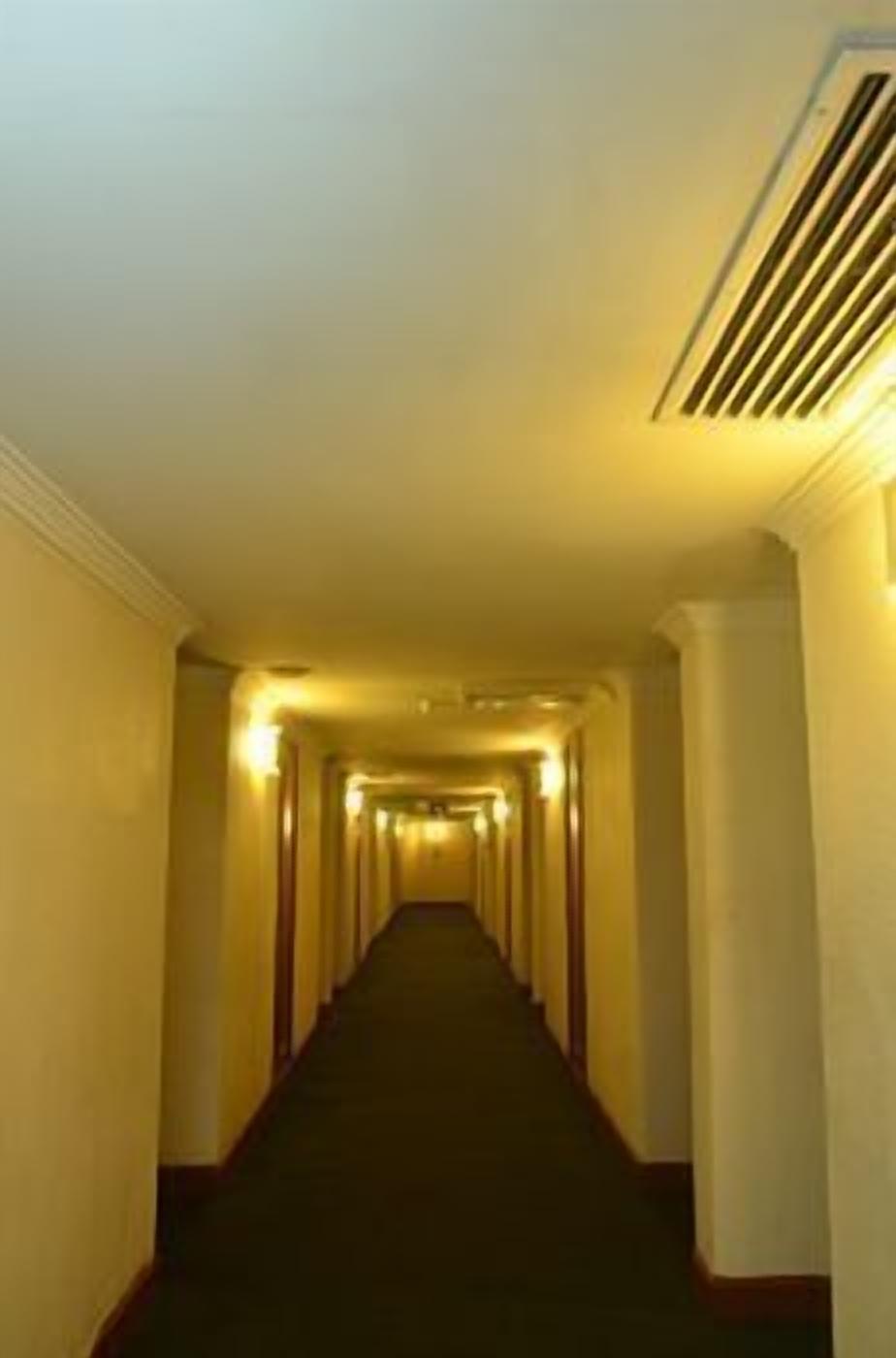 A long, narrow hallway with a carpeted floor and walls on either side.