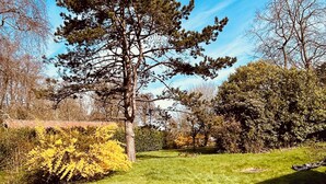 Een verzorgd gazon met een grote dennenboom, een struik met gele bloemen en een gebouw op de achtergrond.