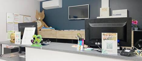 منطقة الاستقبال