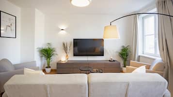 Fernseher