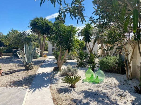 A garden with various plants and a pathway.