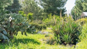 A garden with various plants and trees, a small structure, and a clear sky.