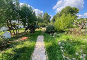 A stone pathway leading through a garden with various plants and trees.