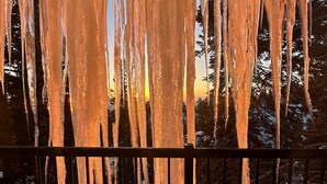 Icicles hanging from a structure, likely a balcony railing, with a snowy forest background.