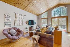 TV, fireplace, DVD player, offices - Forest Home with Fireplace, washer&dryer, and Mountain View (Soda Springs)