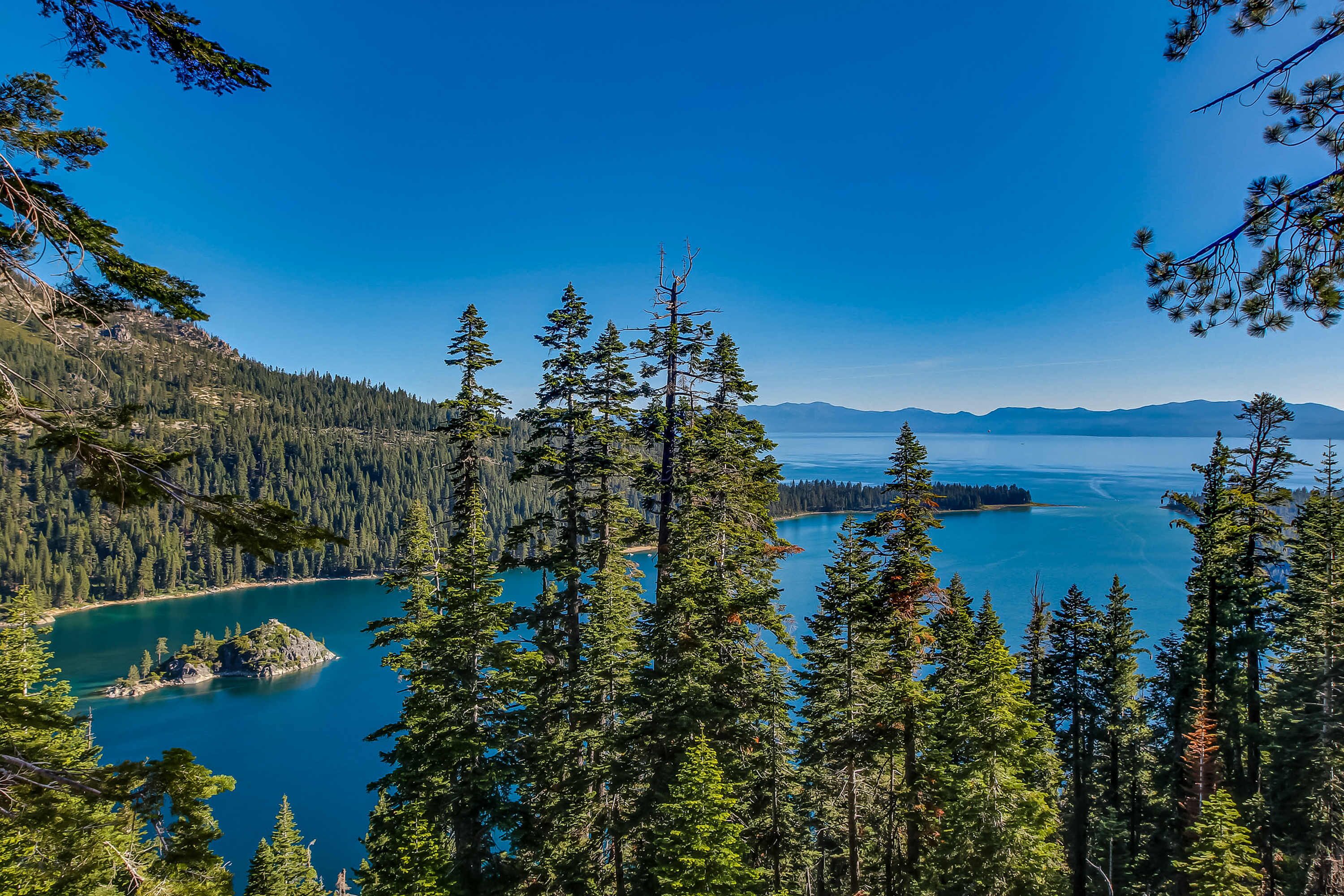 Metsäinen alue, jossa on järvi ja taustalla näkyy vuoria.