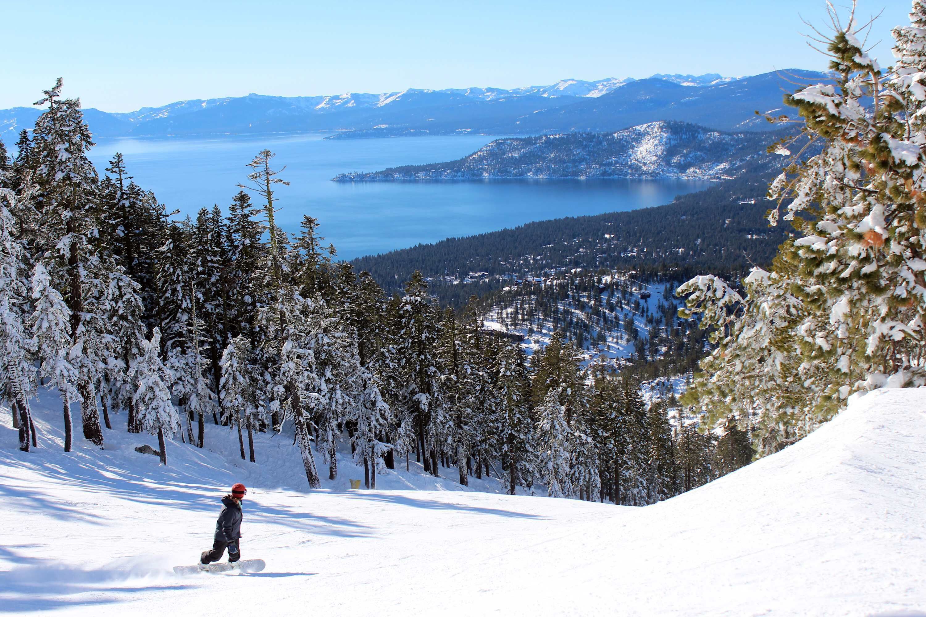 Un paysage montagneux enneigé avec un snowboarder, de nombreux arbres à feuilles persistantes et, au loin, un lac et des montagnes.