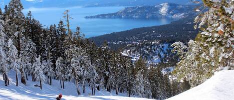 A snowy mountain landscape with a snowboarder, dense evergreen trees, and a distant lake and mountains.