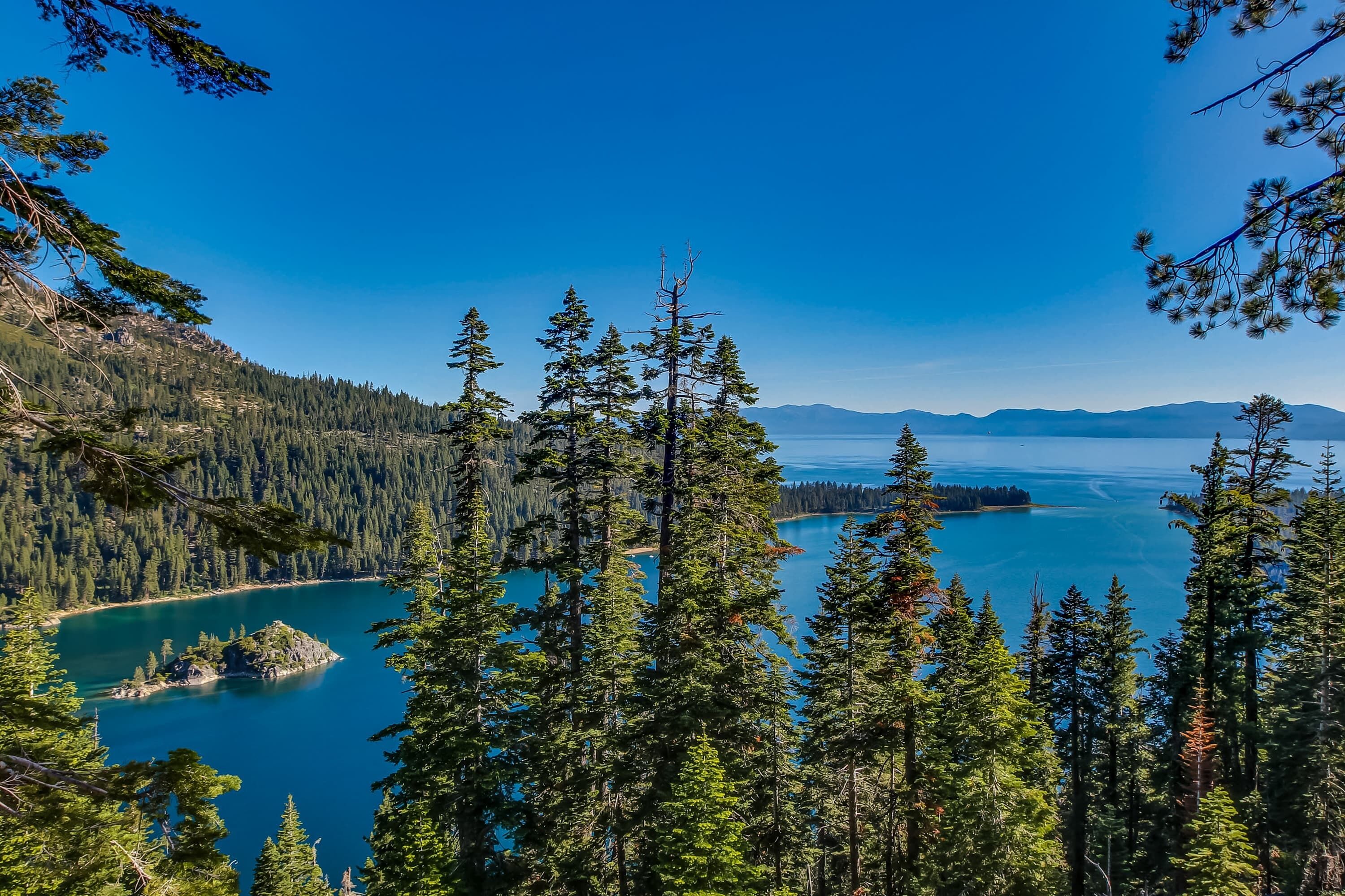 Une zone boisée avec un lac et des montagnes à l’horizon.