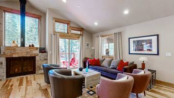 TV, fireplace, video games, DVD player