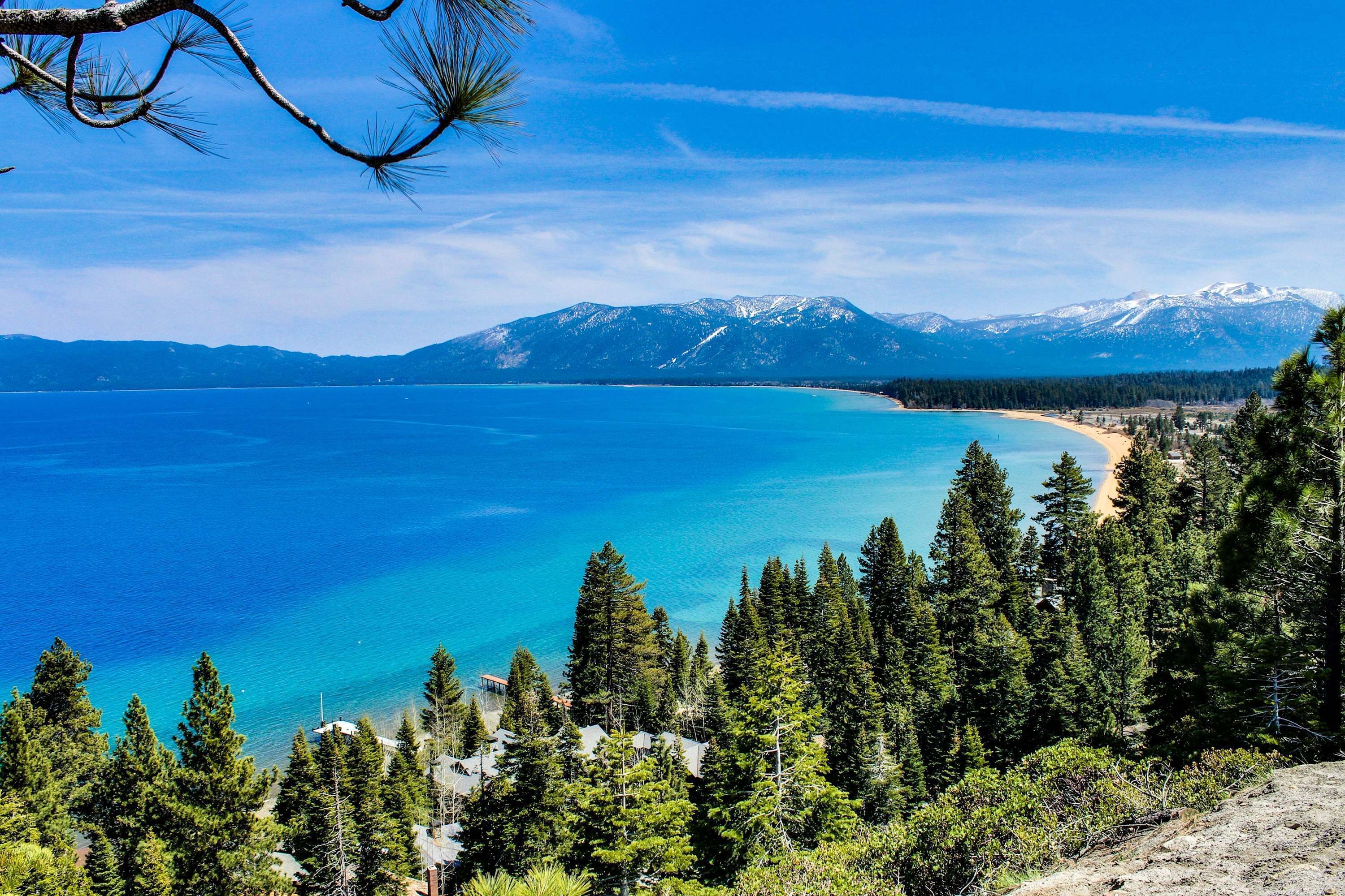 Un paisaje costero con una vista despejada de una playa, un bosque denso y montañas nevadas al fondo.