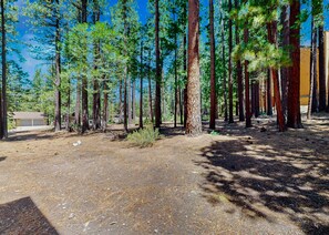Property grounds - Midtown Condo with Deck & Clubhouse with Pool - 2-Minute Drive to Skiing (South Lake Tahoe)