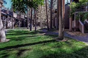 A residential area with modern buildings, a well-maintained lawn, and tall trees. - Stylish South Lake Tahoe Loft - Walk to Beach, Pool, Trails & More (South Lake Tahoe)