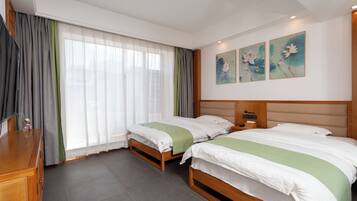 Standard Twin Room, City View | View from room